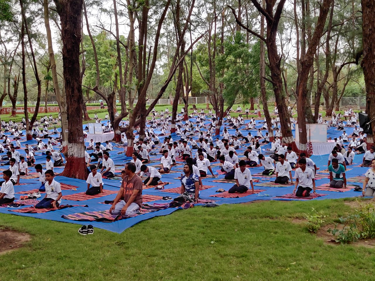 YOGA DAY