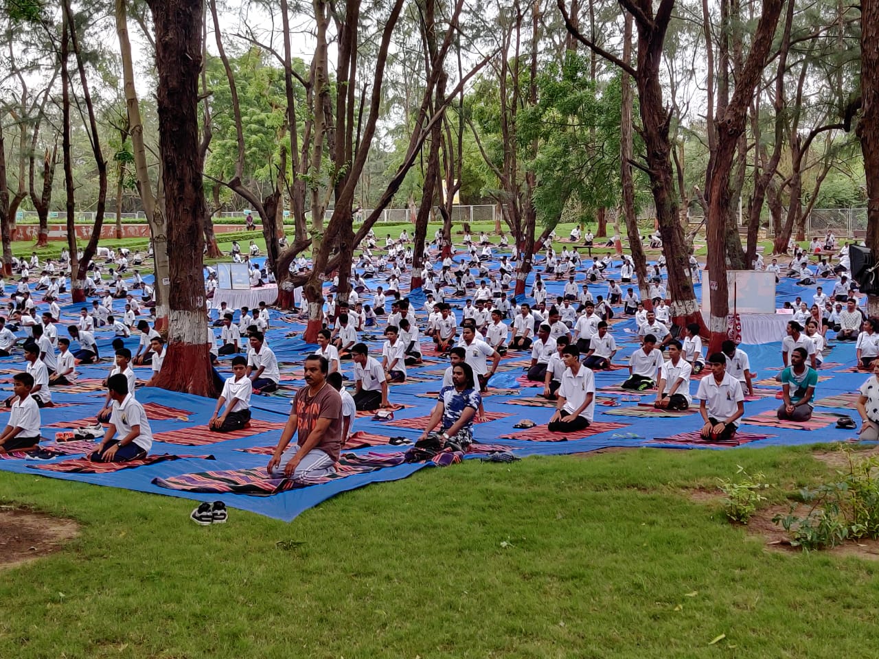 YOGA DAY